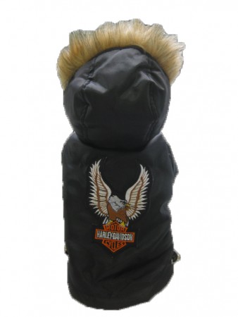 Eagle Hoodie